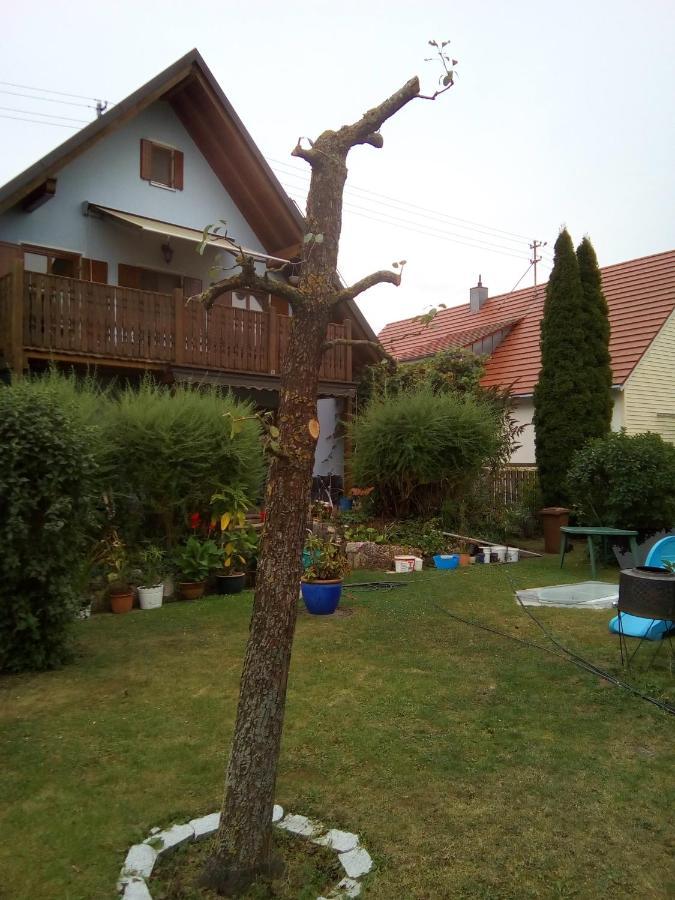 Villa Blue Nördlingen Kültér fotó